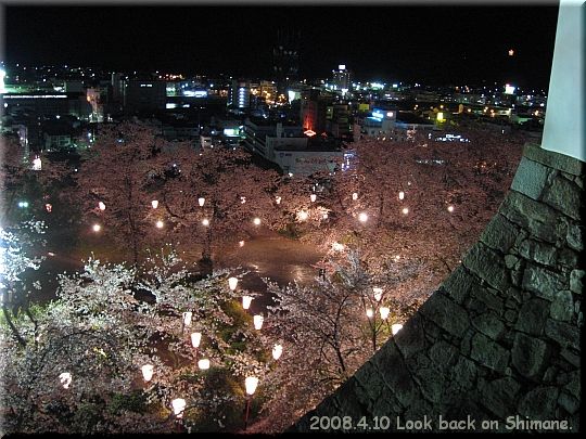 2008.04.10鶴山公園夜桜6.JPG