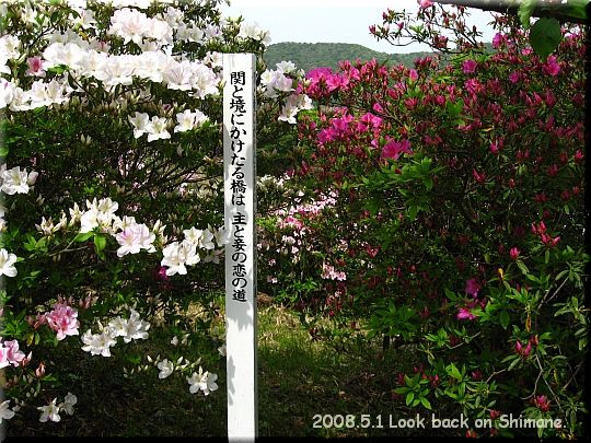 2008.05.01関の五本松公園10.JPG